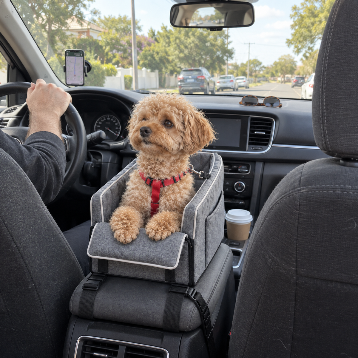 Front view of a small dog sitting in the Pawfect Travel Car Seat